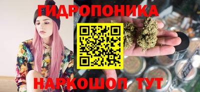 индика Донецк