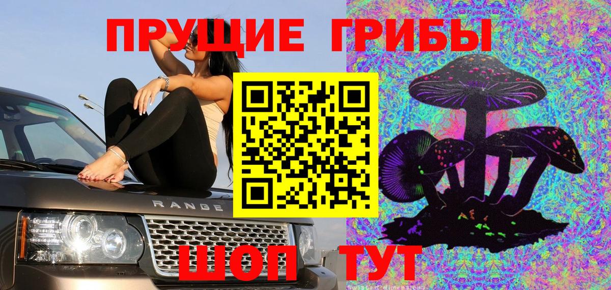 купить   Галлюциногенные грибы мицелий  Вход с VPN  Нижнеудинск 